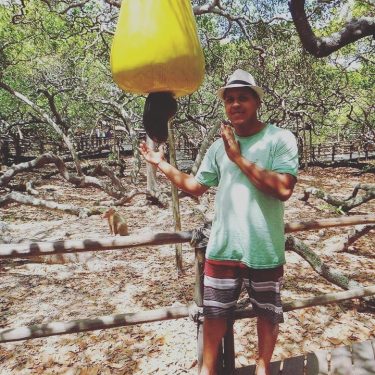 MAIOR CAJUEIRO DO O famoso cajueiro da localidade de Pirangi, no Rio Grande do Norte,…