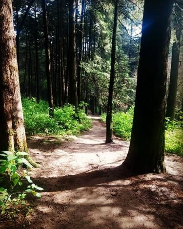 Nada como la natura, la amo. #naturephotography #nature_good #naturalezaurbana #naturelover #nature #naturalresponse #naturel #naturallyshesdope&hellip;