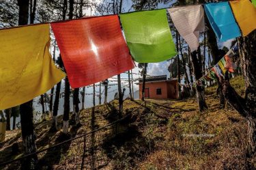 A sunkissed winter morning in mountains with colours of prayer flags all around ..…