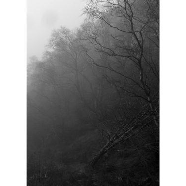 #bnesimppl #travel #travelphotography #travelgram #iamtb #abandonedgallery #stademagazine #insidetheoutside #photoworks #exploreobserveshare #lightzine #thoughtlandscape #ifyouleave #floatmagazine&hellip;