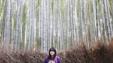 7 am spent wandering inside the bamboo grove. . #ArashiyamaBambooForest #Arashiyama #Kyoto #Kansai #Japan…