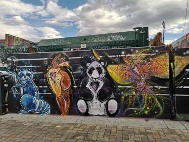 @visitdenver