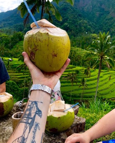 Take life one coconut at a time, and enjoy every sip like it’s your…