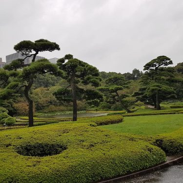 Feeling relaxed, beautiful views ️ #life #wonderlust #traveladdict #japan #tokyo #travelstoke #travel #travelblogger #travelphotography&hellip;