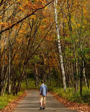 Although sometimes you may get lost, but I believe there is always a path…