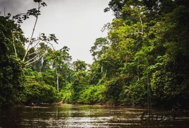 Just a little piece of jungle for your Saturday evening. * * * #wonderlust…