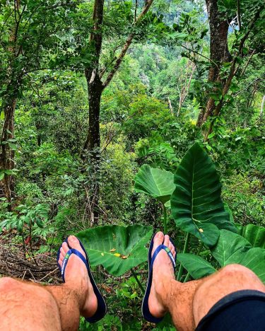 Chillin’ on the edge of the wilderness