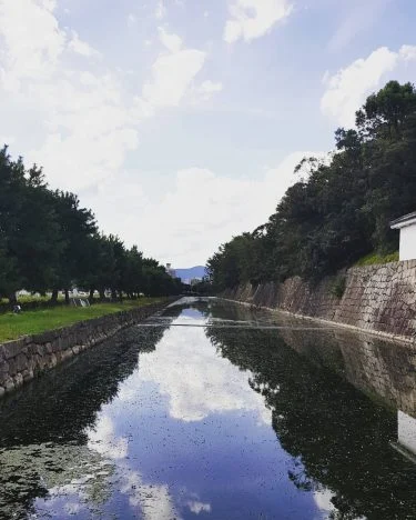An amazing afternoon view of #NijoCastle’s moat. . #Nijojo #Kyoto #Kansai #Japan #SengokuJidai #travel…