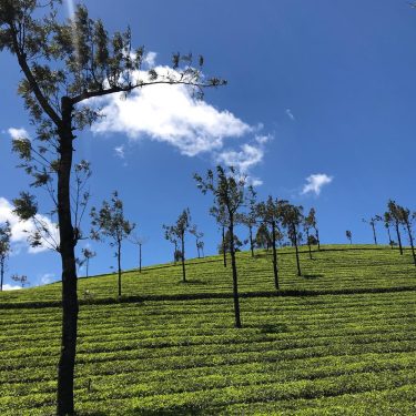 Go Straight To Catch The Clouds . . . #Safarnama #travel #travelgram #travelindia #incredibleindia&hellip;