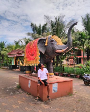 #village #kankavali #naturephotography #elephant #naturelovers #picoftheday #mypixeldiary #maharashtra_clickers #maharashtratourism #maharashtra_desha #sahyadri_ig #sahyadri #sahyadri_clickers #mobilephotography…