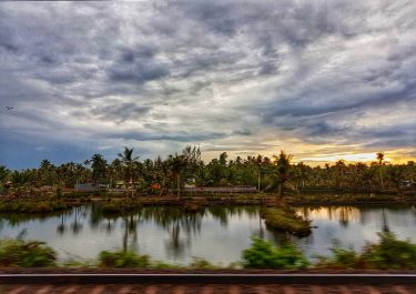 Just living is not one must have sunshine, freedom, and a little flower #reflection&hellip;