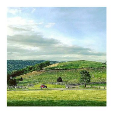 From @worldtravelersunion – Virginia Wine Country! Pretty and quaint! Read about our hiking and…