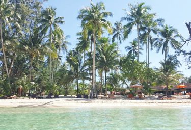 Paradise found #paradiseisland #vacationmode #travelphotography #travelgram #palmbeach #speechlessplaces #kohkood #medeeresort #bnesimppl