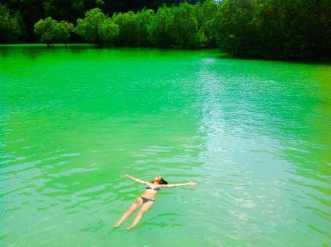 Into the green. . . . . . . . . . . .&hellip;