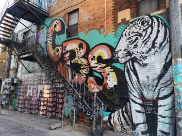 #havefamalidays #greatamericanwest #betravelusa @greatamwest @ @betravel_viaggi @art_alley_rapid_city