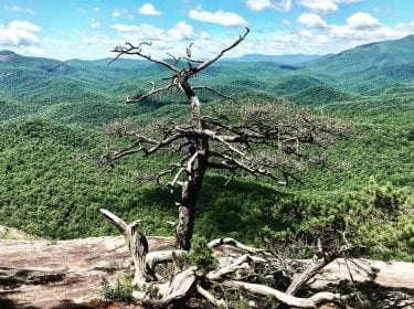 Top of the Looking Glass Trail in the Pisgah Forest, North Carolina. Read our…