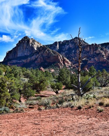 Sedona, could you BE any more breathtaking? #Sedona #Arizona #desert #travel #travelphotography #instatravel #tourism…