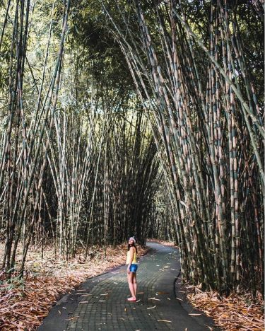 Desa penglipuran, Bangli . . Regran_ed from @travelingrats – Lost in B⃣a⃣m⃣b⃣o⃣o⃣ labyrinth. Can…