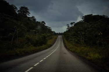 On the #trip #travelling #photography #france #road #photo #picoftheday #southamerica #2018 #forest #tree #naturephotography…