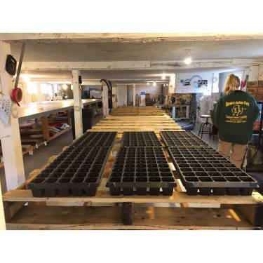 Inside the barn we are ready to start experimenting with growing micro greens for…
