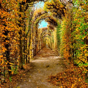 Autumn hues everywhere in the palace garden . . . . . #austria #bnesimppl…