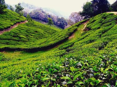 Tras disfrutar de las vistas de aquel gran lago seguimos subiendo hasta dar con&hellip;
