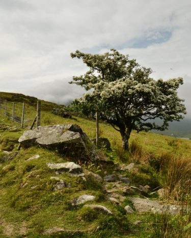 Lusting after some wild, wide open spaces at the moment. So here’s a trip&hellip;