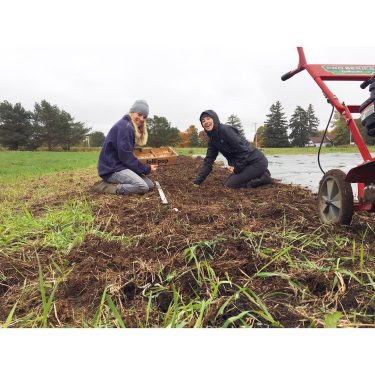 Spanish Roja and German White garlic have been planted as well! We are planning…