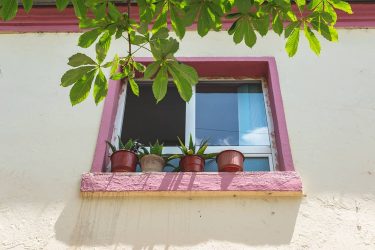 While exploring the streets of Albania you’ll often notice beautiful things, if you’re…