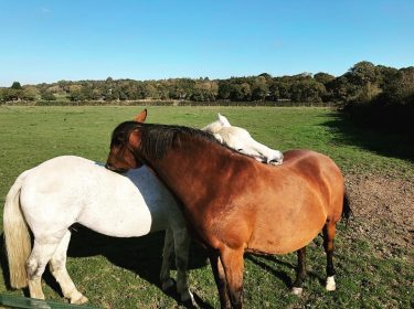 Every love story is beautiful . . . . . . . . .&hellip;