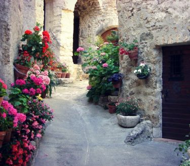 Sweet dreams #flowers #travelwriter #travel #instatravel #travelgram #tourism #instago #passportready #travelblogger #wanderlust #ilovetravel #writetotravel…