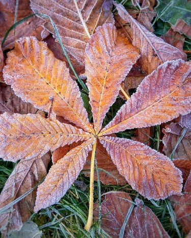 Осень и зима в одном фото Autumn and winter in one pic . .&hellip;