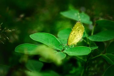 #nature_seekers #travelgram #naturelovers #natureshooters #nature_up_close #nature_hub #naturephotography #naturein_focus #natgeotravel #natgeoyourshot #thephotosociety #reimaginednature #clickstogallery #travelblogger…