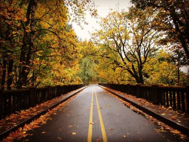Fall is just stunning ️ . #fall #autumn #autumncolours #autumndays #latourellfalls #columbiarivergorge #portland #oregon…