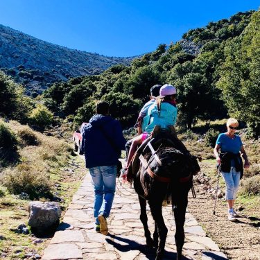 One of our best days on #crete was our last day where the kids…