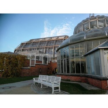 Botanischer Garten Berlin ️ #berlin #berlinberlin #berlincity #berlingram #botanischergarten #botanischergartenberlin #glashaus @berlin @botanicgardenberlin #wanderlust…