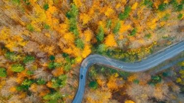 A colorful autumn road in the Apuseni Mountains in Transylvania, Romania . . .…