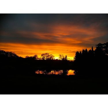 Der Himmel #berlin #berlinberlin #berlincity #berlingram @berlin @botanicgardenberlin #wanderlust #gipsysoul #beautifulplace #sonnenuntergang #wunderschön #skyonfire&hellip;