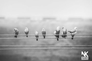 #nature_seekers #travelgram #naturelovers #natureshooters #nature_up_close #nature_hub #naturephotography #naturein_focus #natgeotravel #natgeoyourshot #thephotosociety #reimaginednature #clickstogallery #travelblogger&hellip;