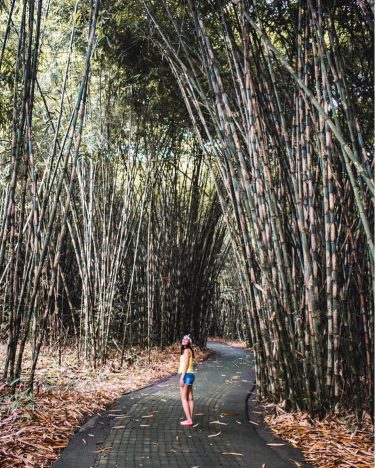 Lost in B⃣a⃣m⃣b⃣o⃣o⃣ labyrinth. Can you find the way out? ↔️ . #volcano #naturelover&hellip;