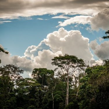 Storm clouds brewing over the Amazon rainforest make for some easy is, until they&hellip;