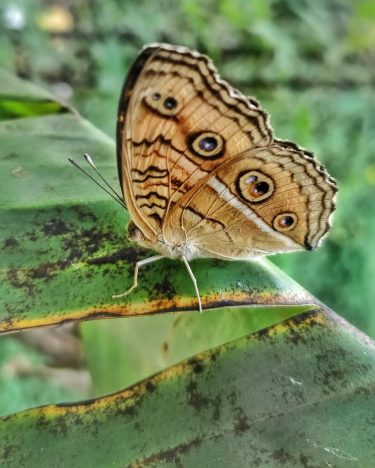 #nature_seekers #travelgram #naturelovers #natureshooters #nature_up_close #nature_hub #naturephotography #naturein_focus #natgeotravel #natgeoyourshot #thephotosociety #reimaginednature #clickstogallery #travelblogger&hellip;