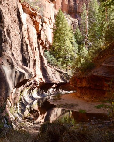 After a stunning 3 miles of “oooh” and “wow,” the #westforktrail ends at this…
