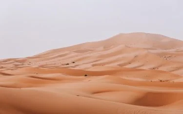 26•07•18 Sahara Desert , Merzouga , Morocco