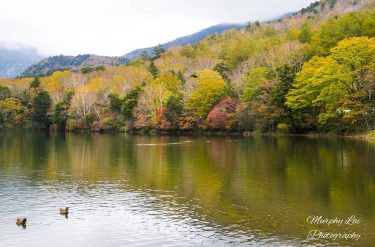 Here’s another shot I taken at Yuno Lake at a different angle. It is…