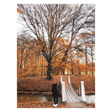 And the sun took a step back, the leaves lulled themselves to sleep and…