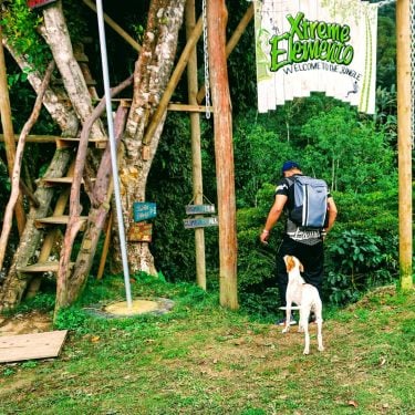 Welcome to the jungle y hasta el perro te advierte que no . .…