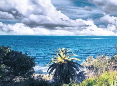 #chillvibes #serene #nature #naturelove #beachlife #landscape #landscapephotography #sydney #sydneylife #exploring #ilovesydney #lifeofadventure #wandering #wanderlust…