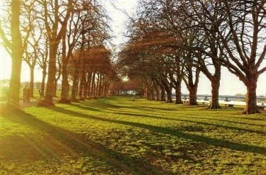 Possibilities are endless when the sun is shining on a brand new day! Check…