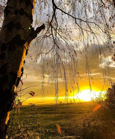 #Sunshine #morningsun #heimat #homesweethome #onahike #hiking #dogtour #landscapephotography #landschaftsfotografie #landschaftsschutzgebiet #weiden #herbst #sonnenschein #nature…